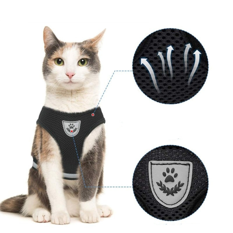 Colete Regulável e Super Confortável para Cachorro e gato